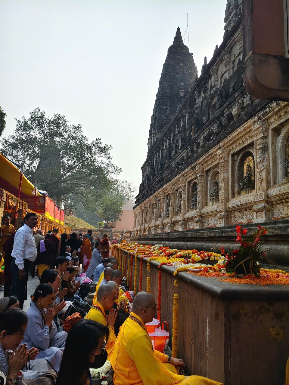 Ngày 15 - Bodhgaya