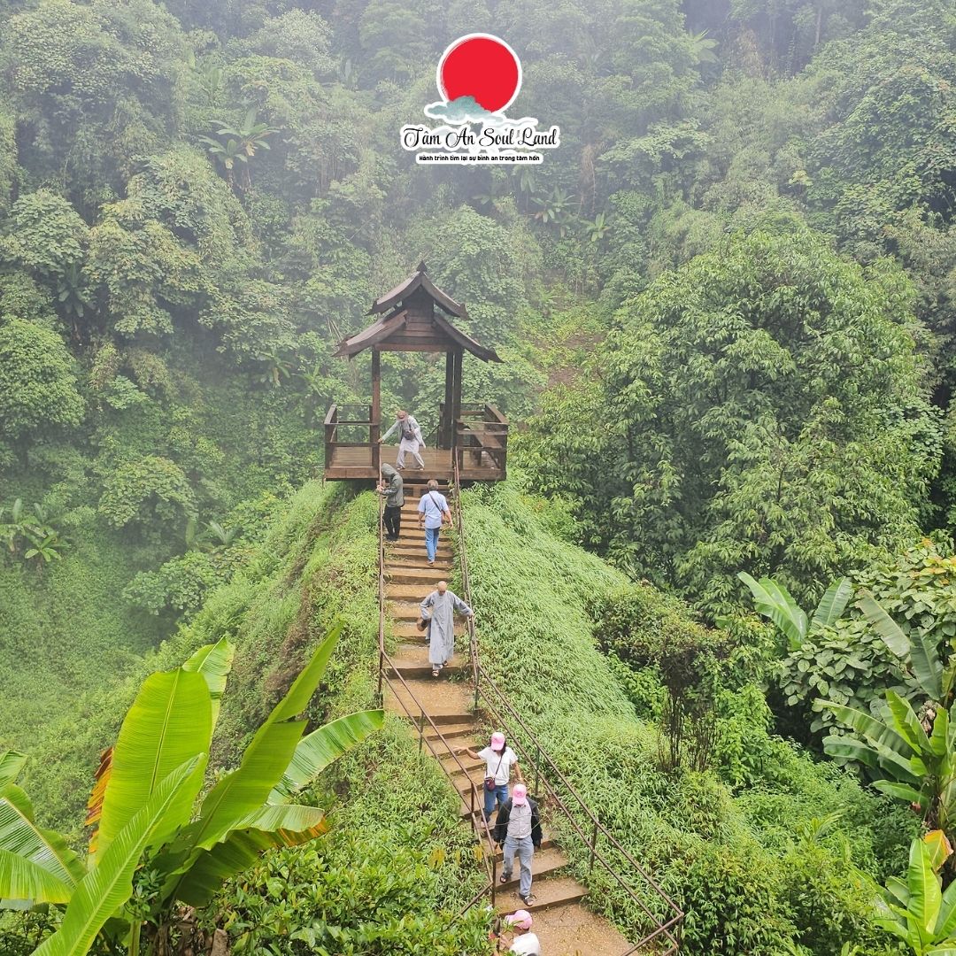 Lắng nghe nhịp sống bên dòng Mekong